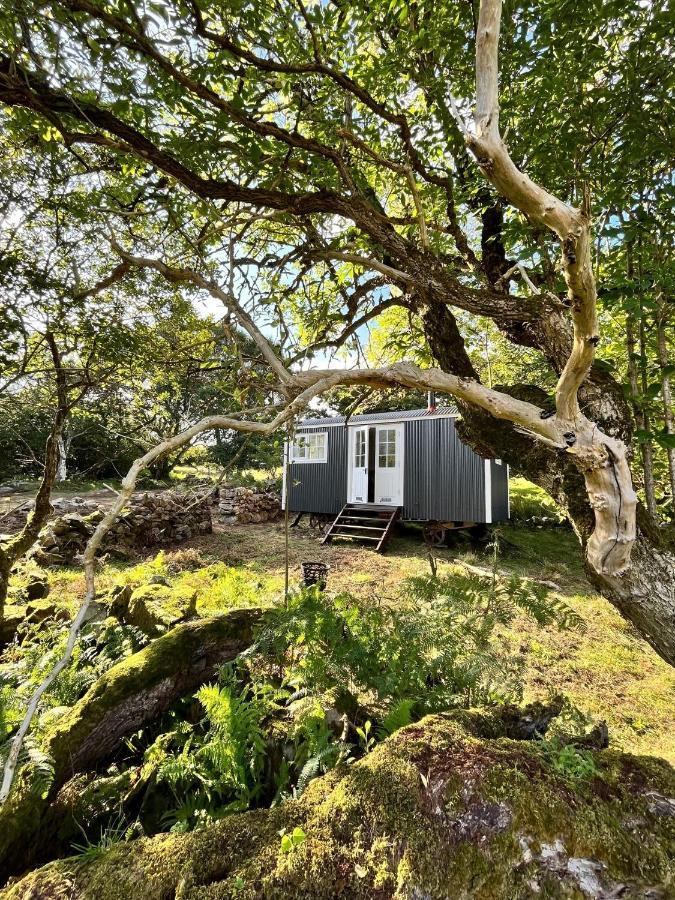 Villa The Hazel Hut à Westport Extérieur photo