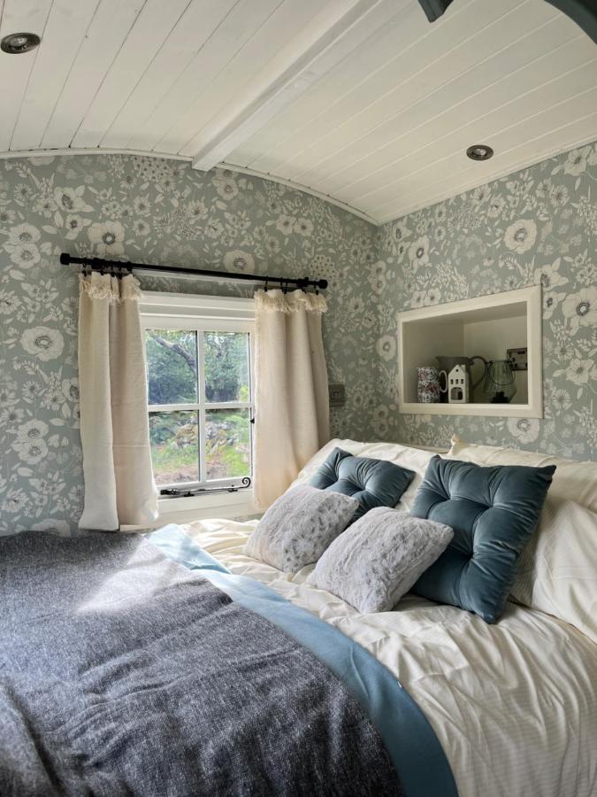 Villa The Hazel Hut à Westport Extérieur photo